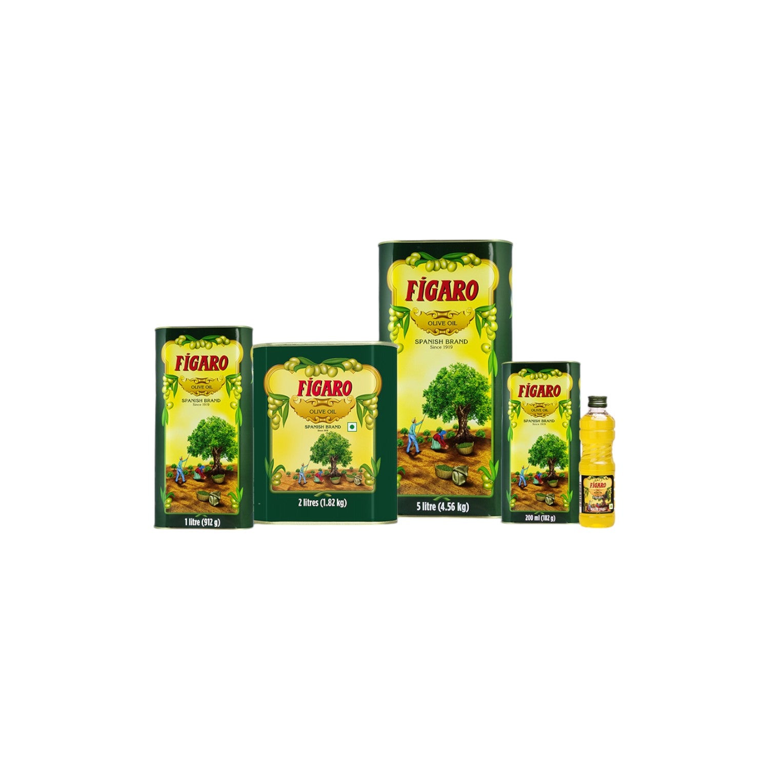 FIGARO Pure Olive Oil.